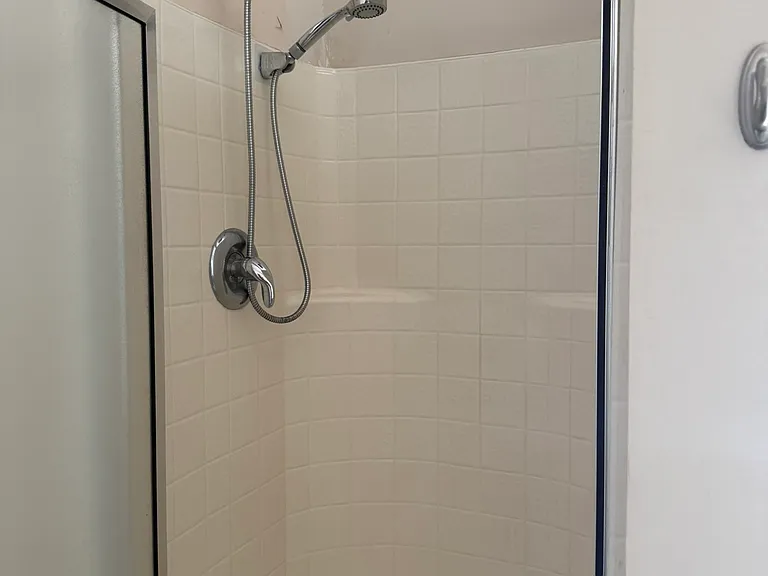 Master Shower