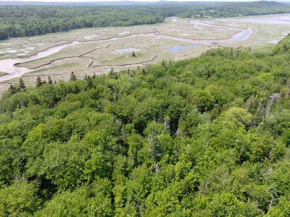 0 Grand Marsh Bay Road, Gouldsboro, ME 04607