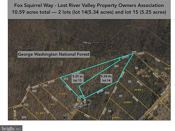 2nd image of Fox Squirrel Way