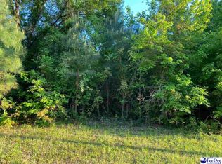 Poor Farm Rd, Florence, SC 29505