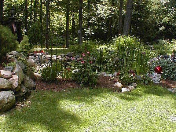 Back yard (Side)