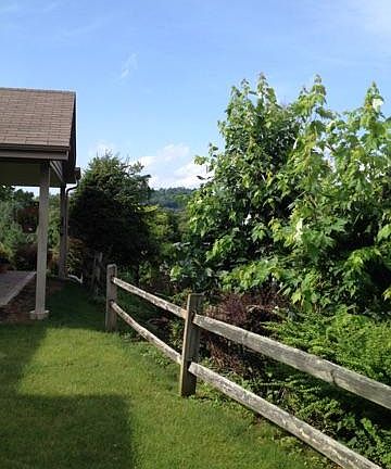 back view to greenbelt
