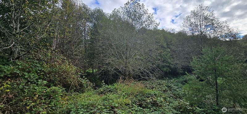 5th image of 1351 Satsop Road W