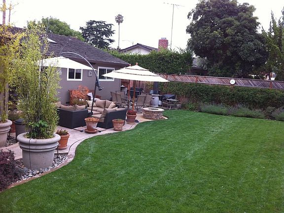 Back Yard 3