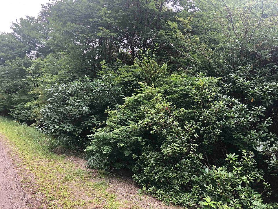 2nd image of 986 Chapel Hill Road