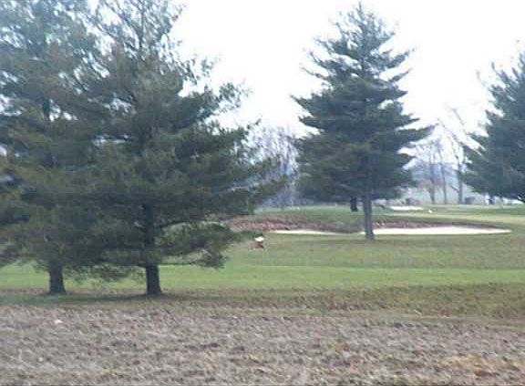 4th image of 951 Country Club Dr