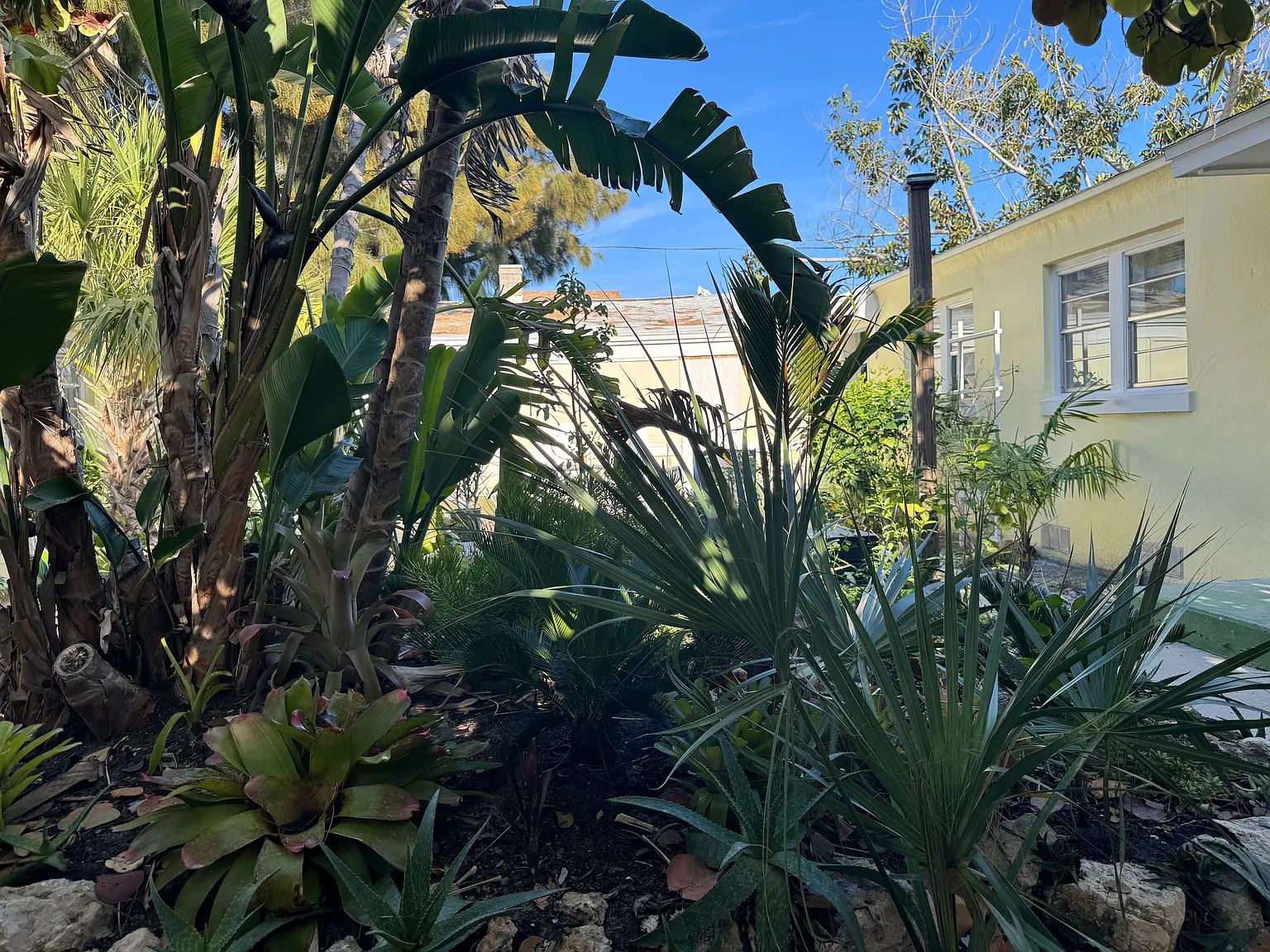 1 bed, 525 sqft, $1,600 — Photo 2