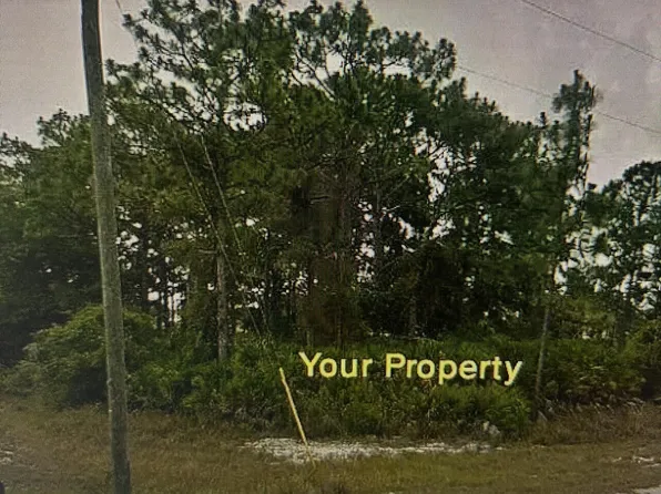 1170 Kingfisher Avenue NW, Lake Placid, FL 33852