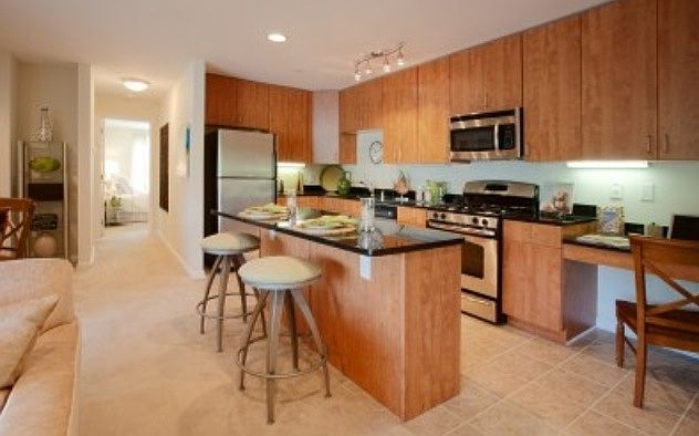 2nd image of 1105 Primrose Ct APT 203