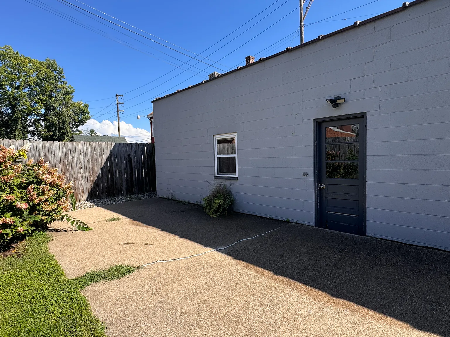 1 bed, $350 — Photo 3