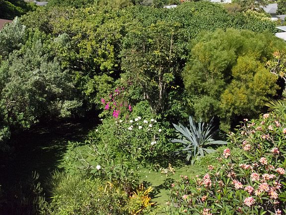 Garden setting