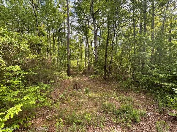 S Of Daily Creek Daily Creek Rd, Parks, AR 72950