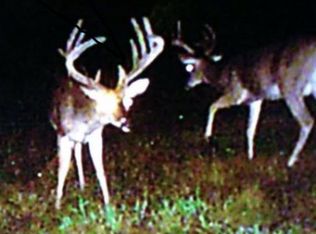 140 Jack Davis Rd, Monticello, MS 39654