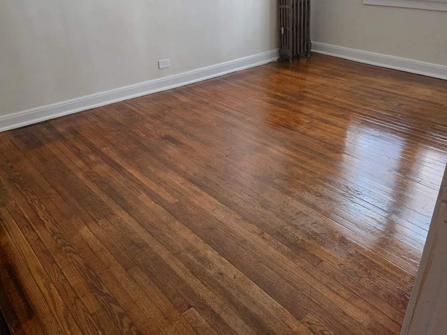 1 bed, 800 sqft, $1,450 — Photo 3