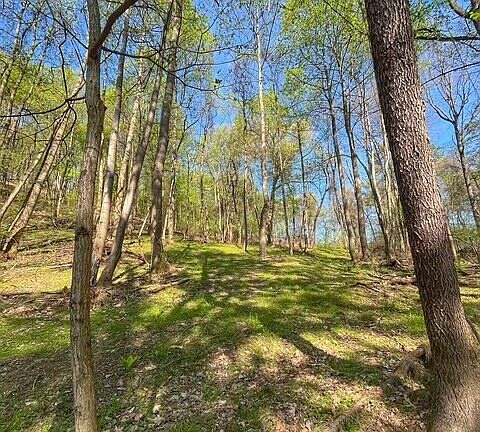 4th image of LOT Old Danville Hwy