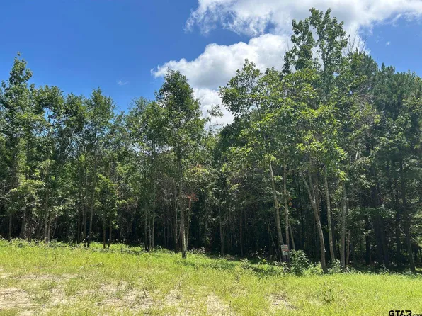 7475 County Road 378 S, Laneville, TX 75667