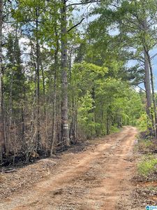 Hillside Cir #4081, Childersburg, AL, 35044