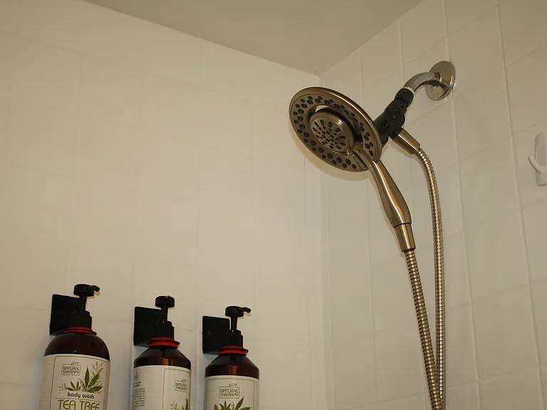 Dual showerhead