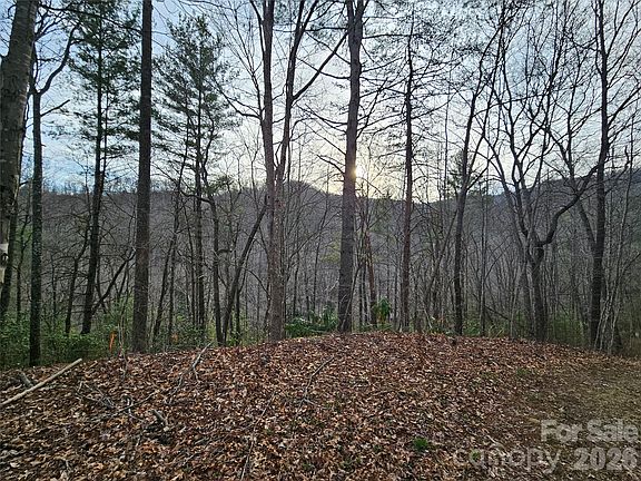 5th image of 0 Wispy Willow Dr #22T
