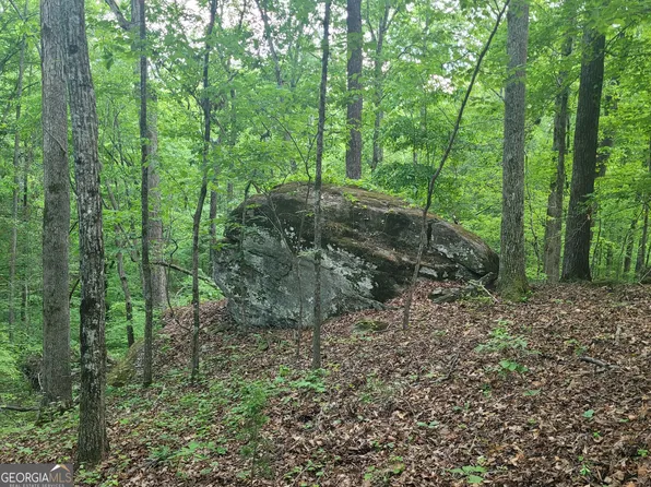 0 Fincherville Rd Tract 3, Jackson, GA 30233