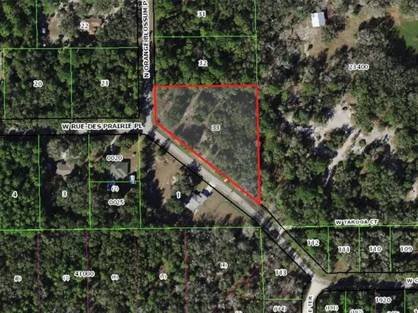 (undisclosed Address), Crystal River, FL 34428