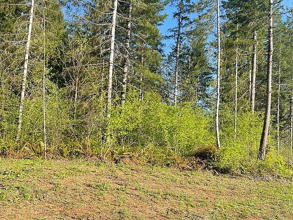 5th image of 14253 W Cloquallum Road