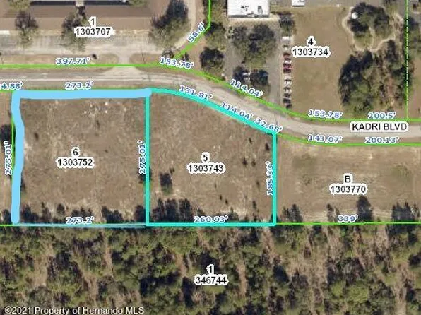 12160 Kadri Blvd, Spring Hill, FL 34608