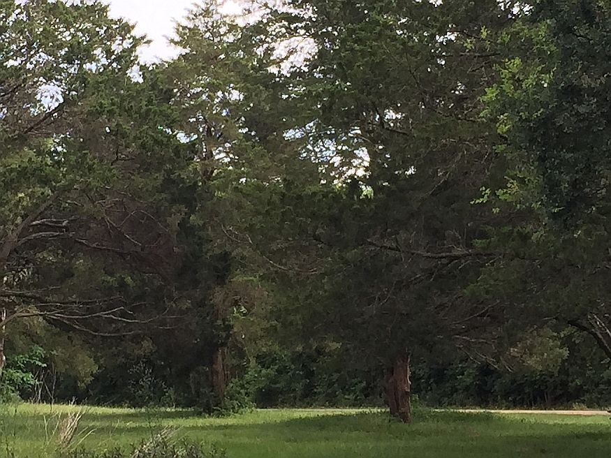 1st image of 1899 County Road 115