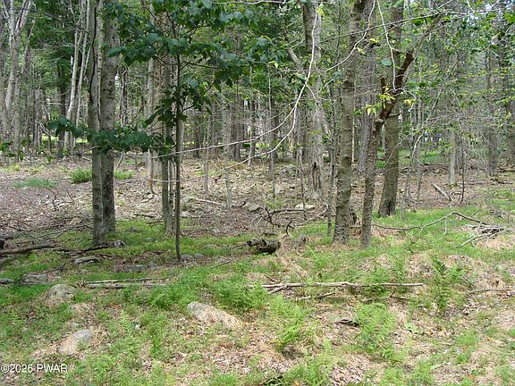 4th image of Pocono Dr