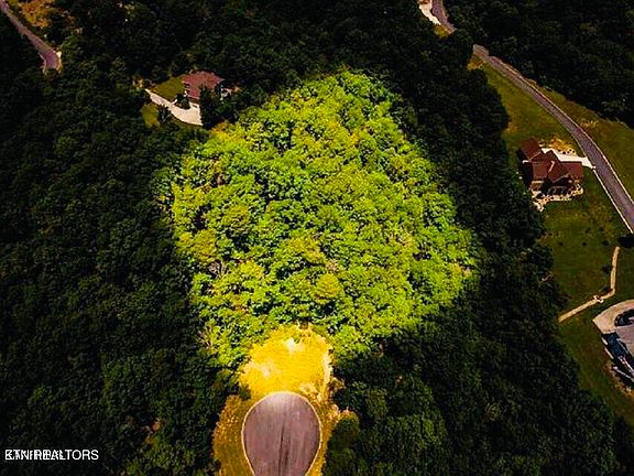 2nd image of 8028 Mountain Ridge Dr