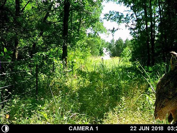 2nd image of 0 E County Road 27220