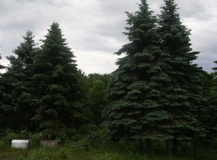 11295 Hibma Road, Tustin, MI 49688