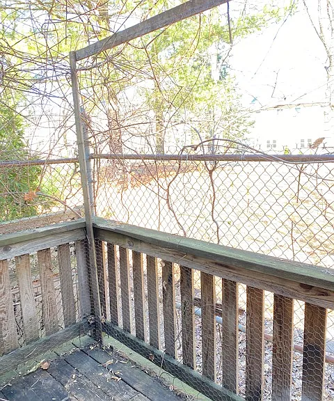 93 Harvey St #3 — Photo 15