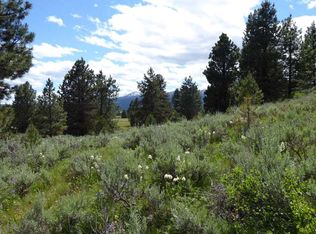 24 Carey Way, Cascade, ID 83611