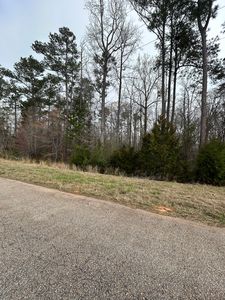 547 Nathania Farm Rd Lot 65006, Lincolnton, GA, 30817