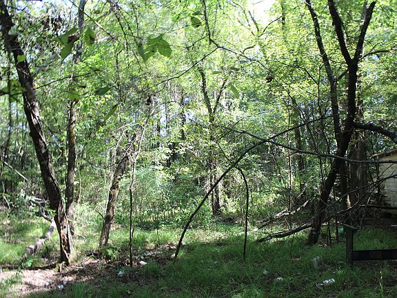 3rd image of County Road 3135