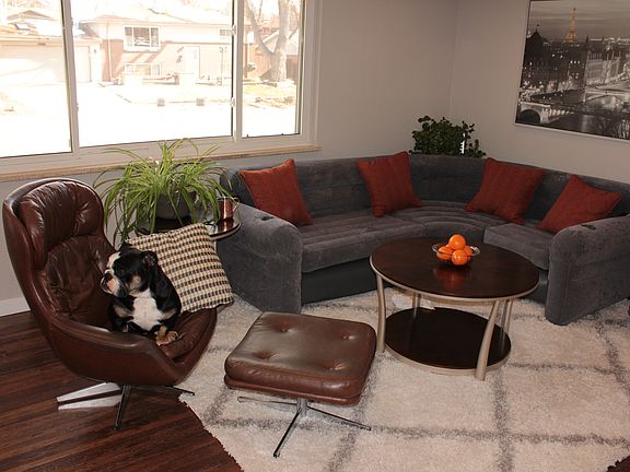 Living room plus Mugsy 1
