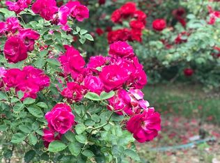 266 Burr Rd, Commack, NY 11725