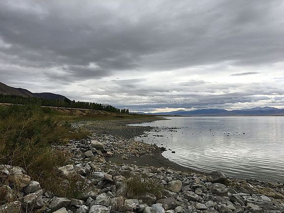 Private Shared Lakefront!