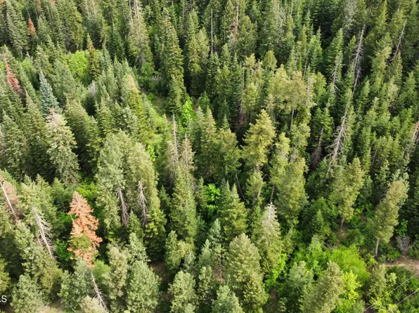 Nka Grandmas Way, Saint Maries, ID 83861