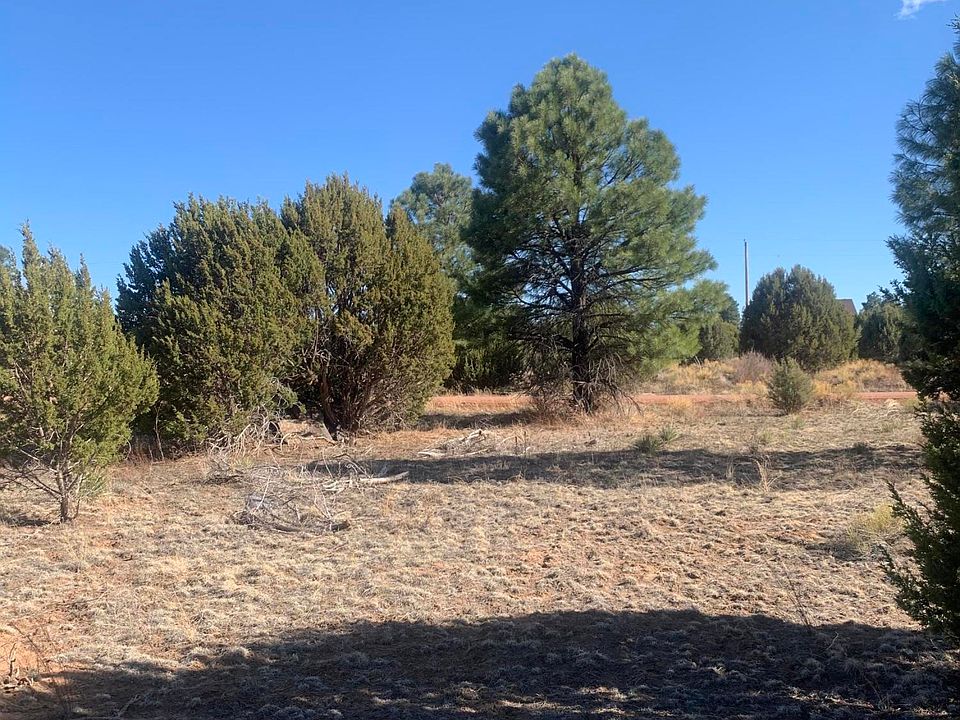2nd image of 2234 Sitgreaves Dr