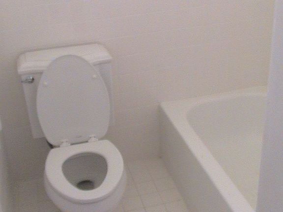 New toilet Master bath