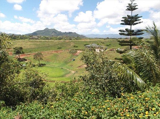 5th image of 5089 Kahana St Lot 32