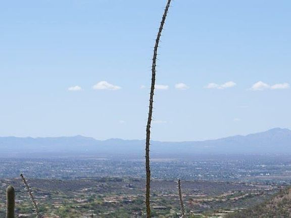 4th image of 6990 N La Tierra