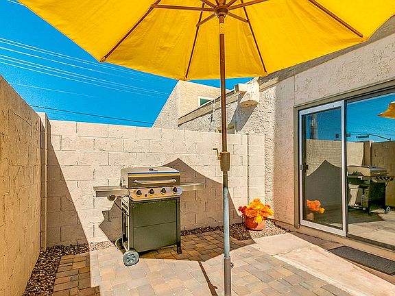 New pavers & pet proof turf