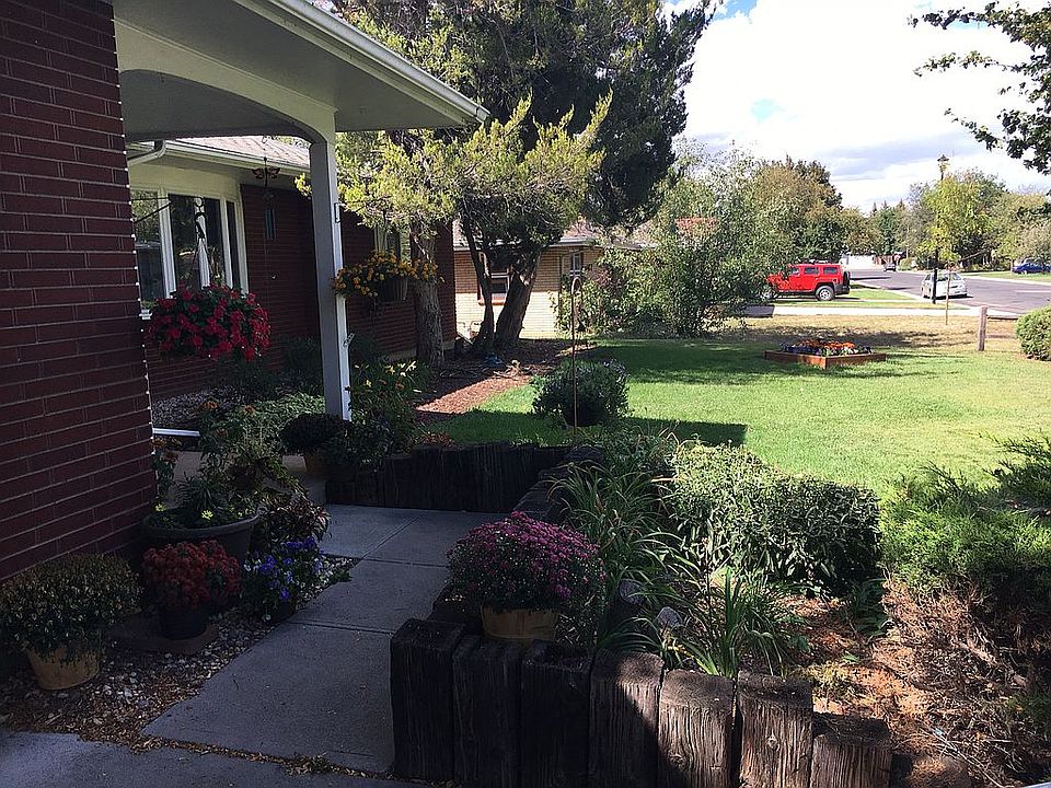 lots of flowers and trees