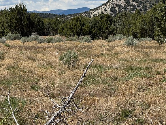 4th image of 15 Old Hwy #89