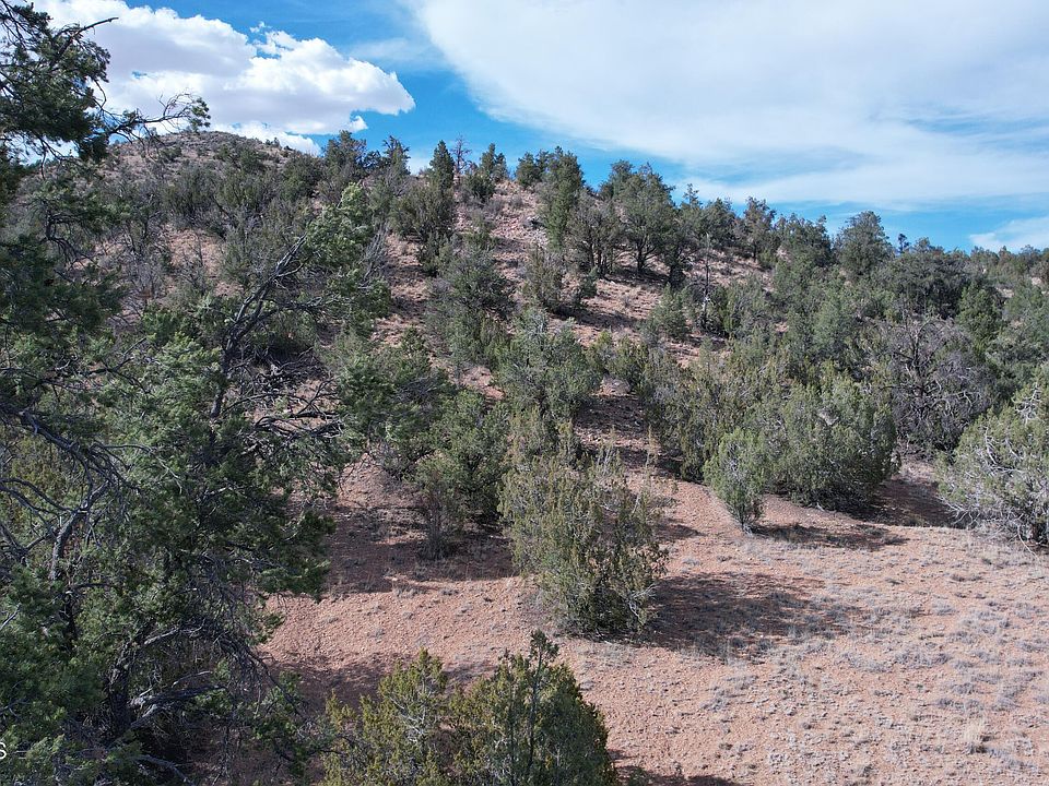 52471 N Camino Gato Seligman, AZ, 86337 Apartments for Rent Zillow