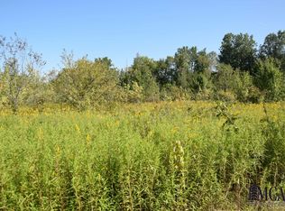 0 Whiteford Rd, Ottawa Lake, MI 49267