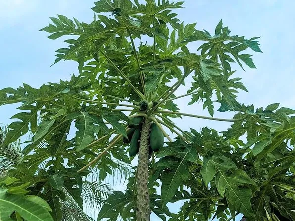 5200 Minto Road, Boynton Beach, FL 33472